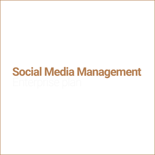social_media_management_Enterprise_plan