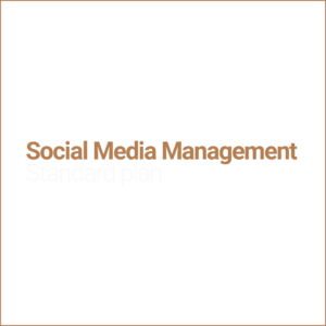 Social Media Management basic plan