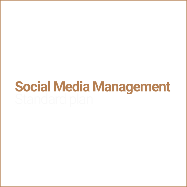 Social Media Management basic plan