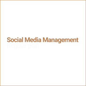 Social Media Management Regular plan