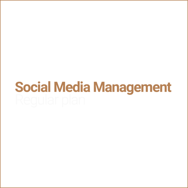 Social Media Management Regular plan